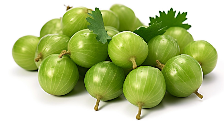 Green Gooseberries Isolated on White Green Gooseberries Isolated on White