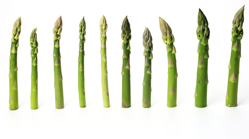 Asparagus risotto Asparagus risotto, asparagus image