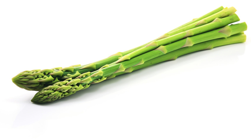 Fresh asparagus spear on white background Fresh asparagus spear on white background, asparagus image
