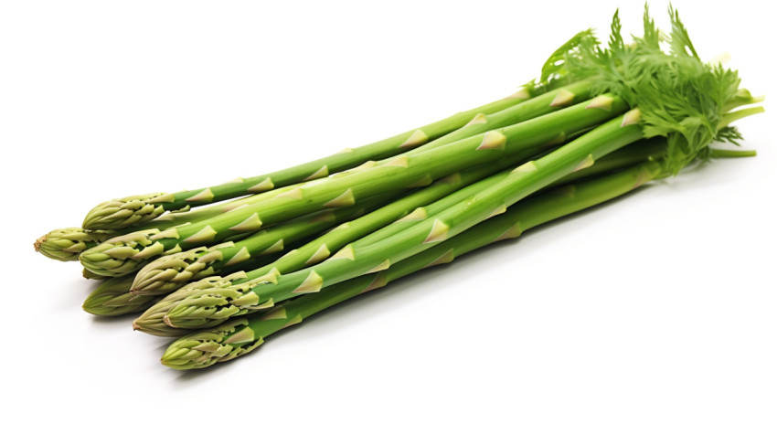 Close-up of fresh asparagus spear Close-up of fresh asparagus spear, asparagus image