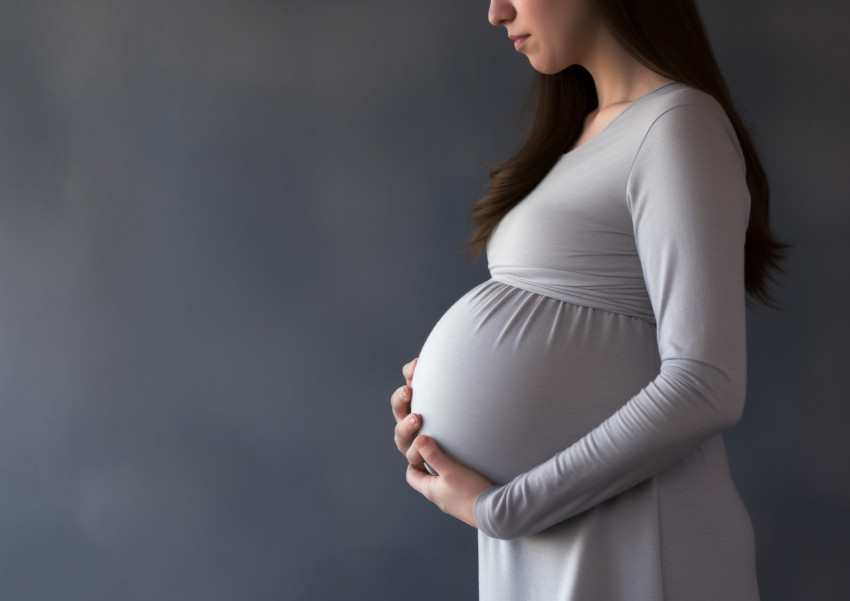 A woman is holding a pregnant belly on a gray background A woman is holding a pregnant belly on a gray background, pregnant women pictures, maternity photos