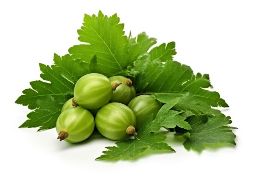 Fruit and leaves of goosefruit isolated on white Fruit and leaves of goosefruit isolated on white, gooseberry fruit image