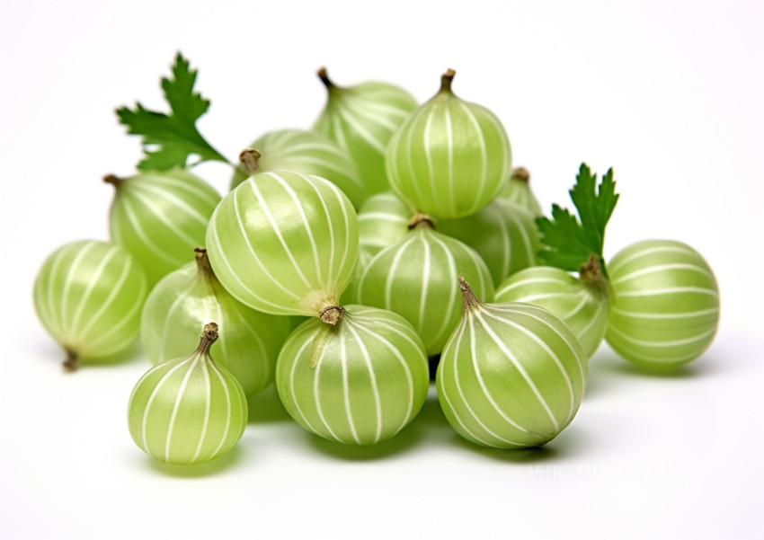 Fresh green gooseberries isolated on white surface Fresh green gooseberries isolated on white surface, gooseberry fruit image