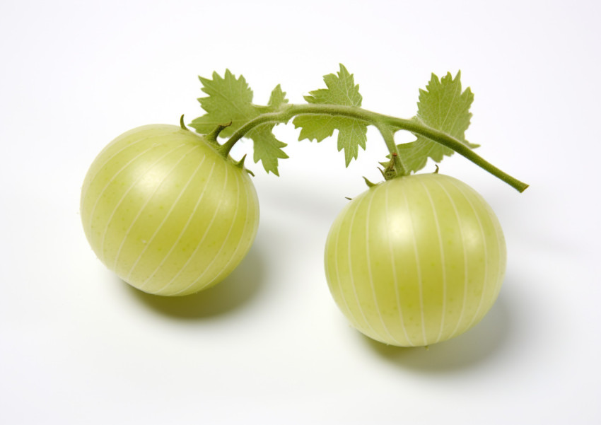 Photo of 2 green gooseberry fruits on white background Photo of 2 green gooseberry fruits on white background, gooseberry fruit image