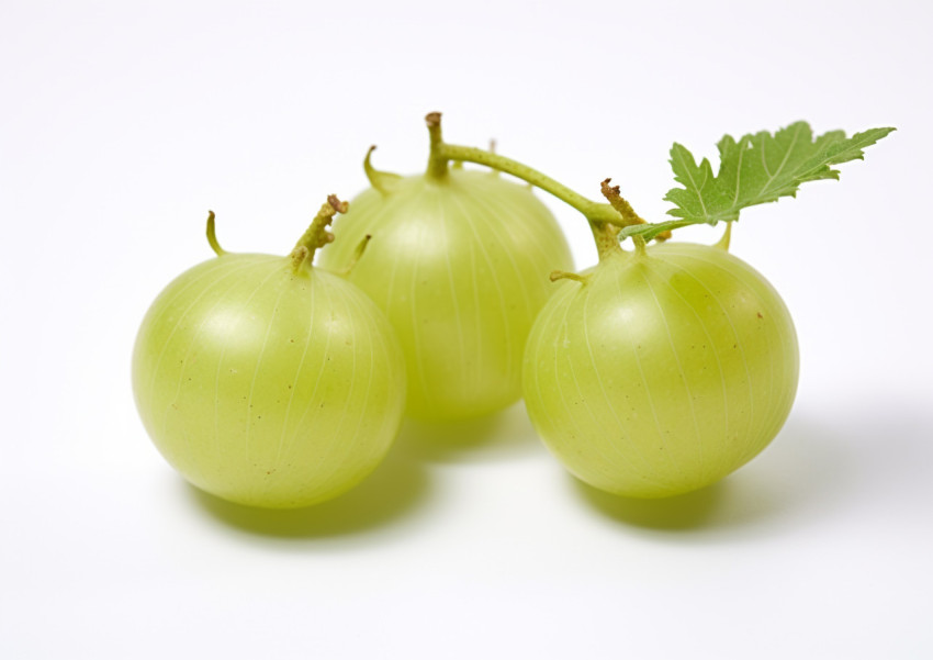 Uicy green gooseberries Uicy green gooseberries, gooseberry fruit image