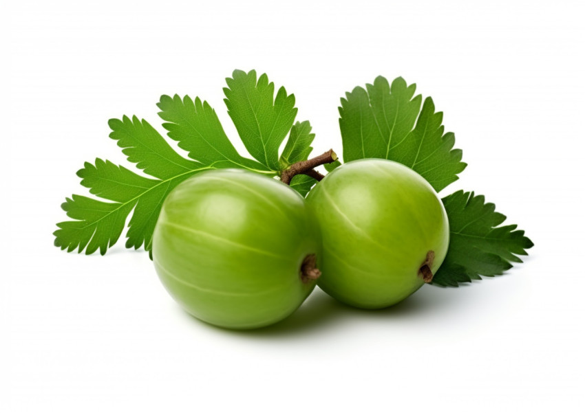 Two Amla on White Background with Leaves Two Amla on White Background with Leaves