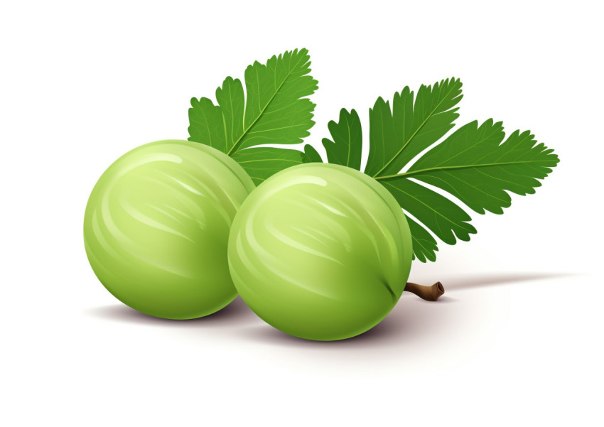 Two Green Amla on White Background Two Green Amla on White Background