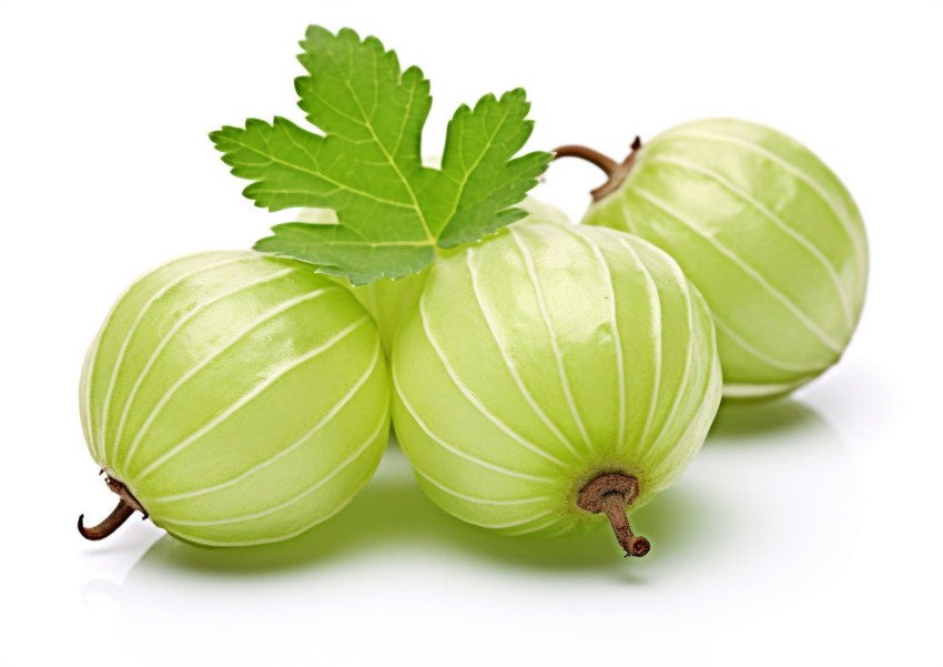 Gooseberry fruit isolated on white background Gooseberry fruit isolated on white background, gooseberry fruit image