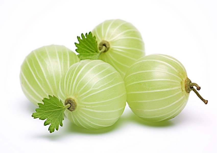 Gooseberry fruit isolated on white Gooseberry fruit isolated on white, gooseberry fruit image