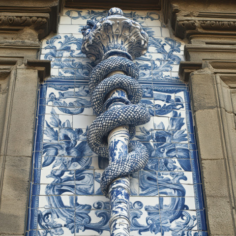 Serpent wrapped Rod of Asclepius in blue and white tile Serpent wrapped Rod of Asclepius in blue and white tile