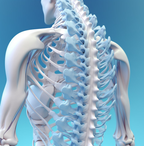spinal cord pain treatment spinal cord pain treatment