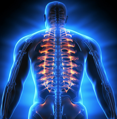 chronic back pain sciatic nerve chronic back pain sciatic nerve