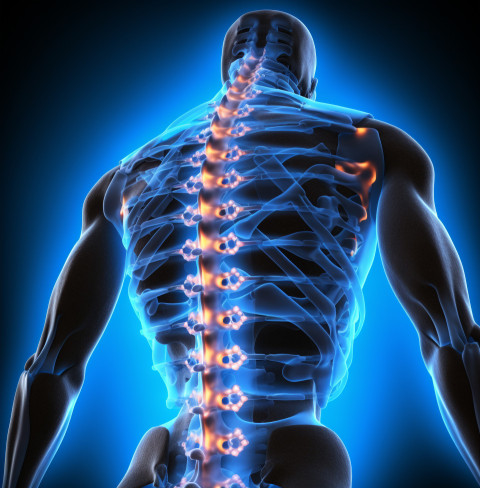 Sciatica exercises for relief Sciatica exercises for relief