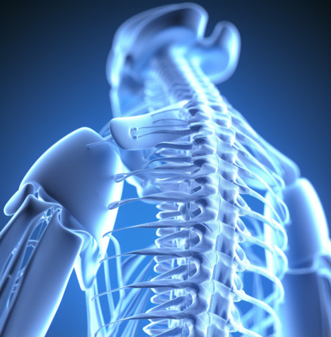 Sufferer of back pain Sufferer of back pain, human bone image