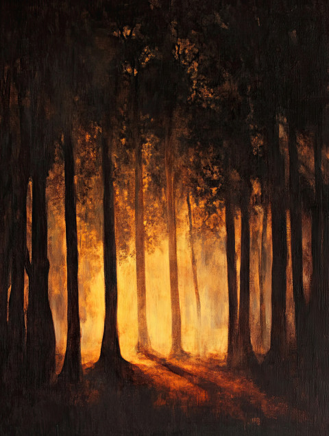 Sunlight streams through dense trees Sunlight streams through dense trees